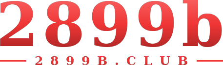 2899b logo